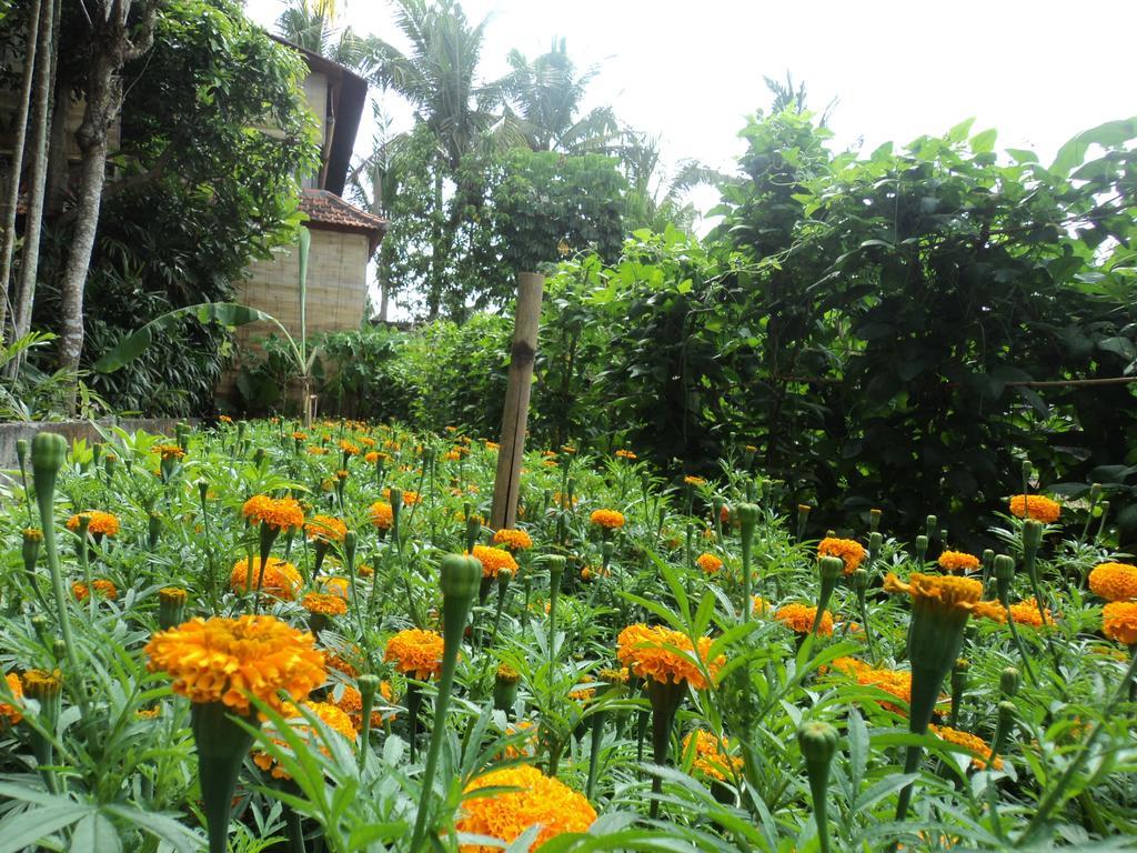 Villa Bhuana Alit Ubud Exteriör bild