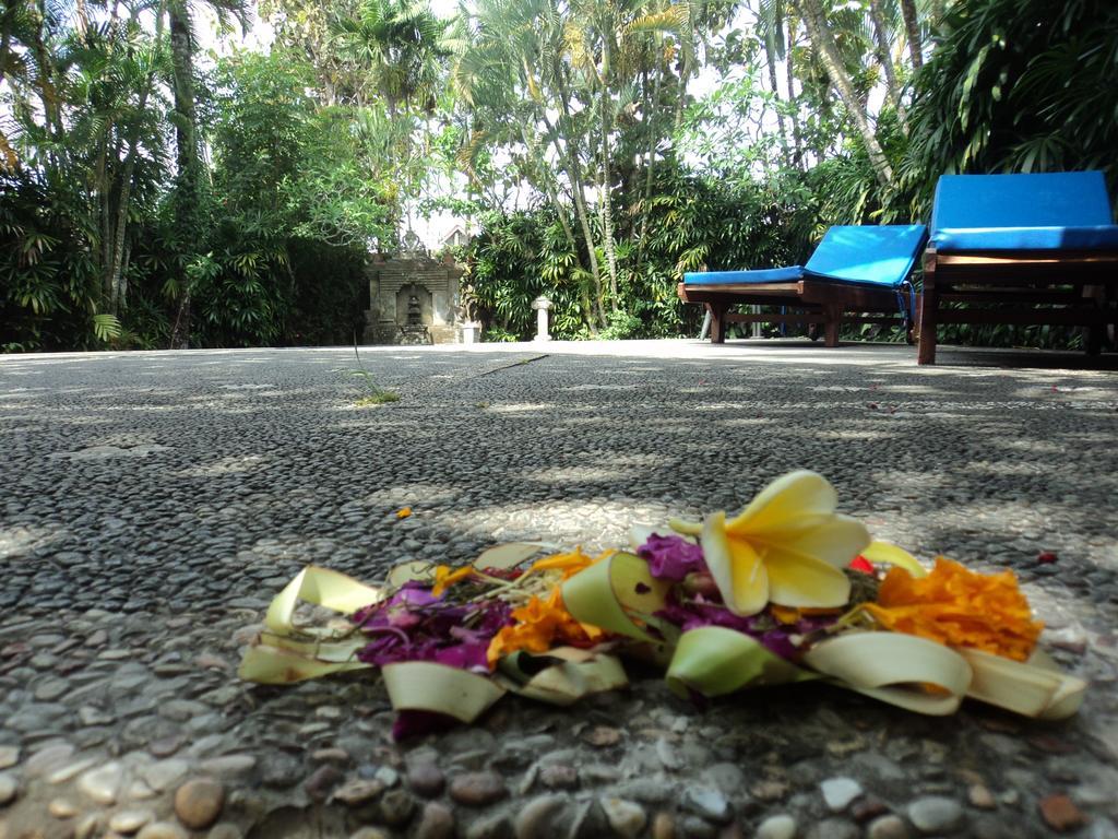 Villa Bhuana Alit Ubud Exteriör bild