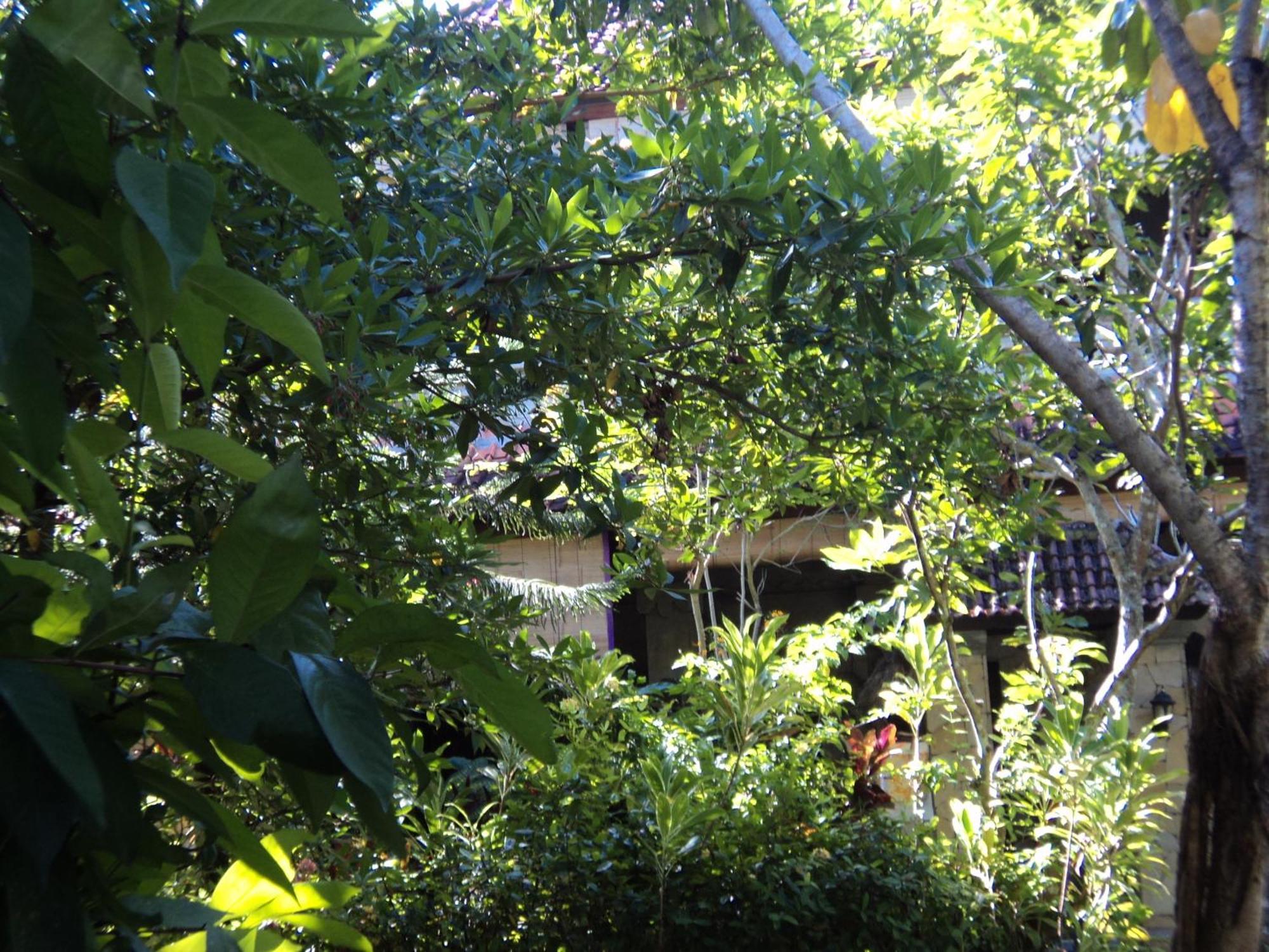 Villa Bhuana Alit Ubud Exteriör bild