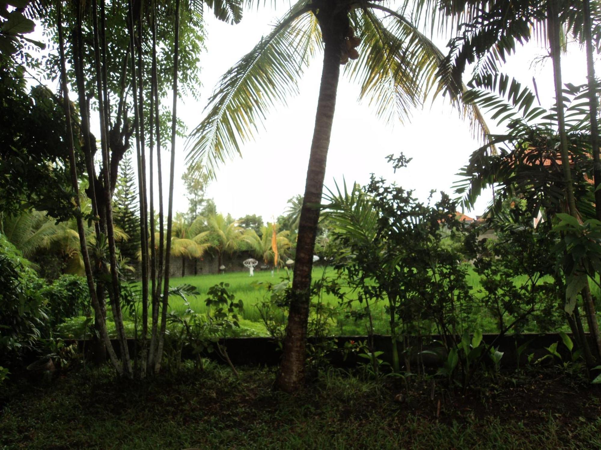 Villa Bhuana Alit Ubud Rum bild