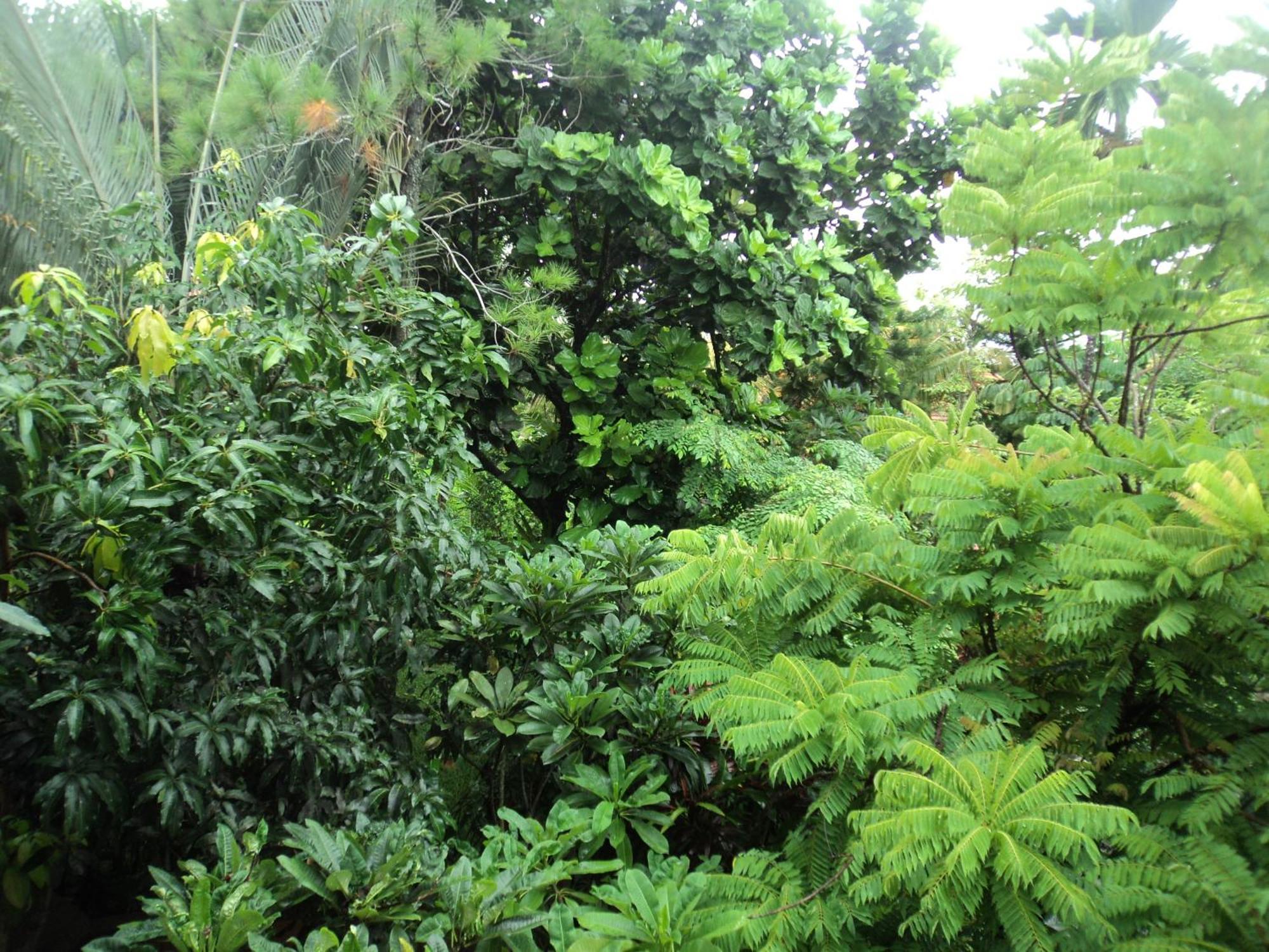 Villa Bhuana Alit Ubud Rum bild
