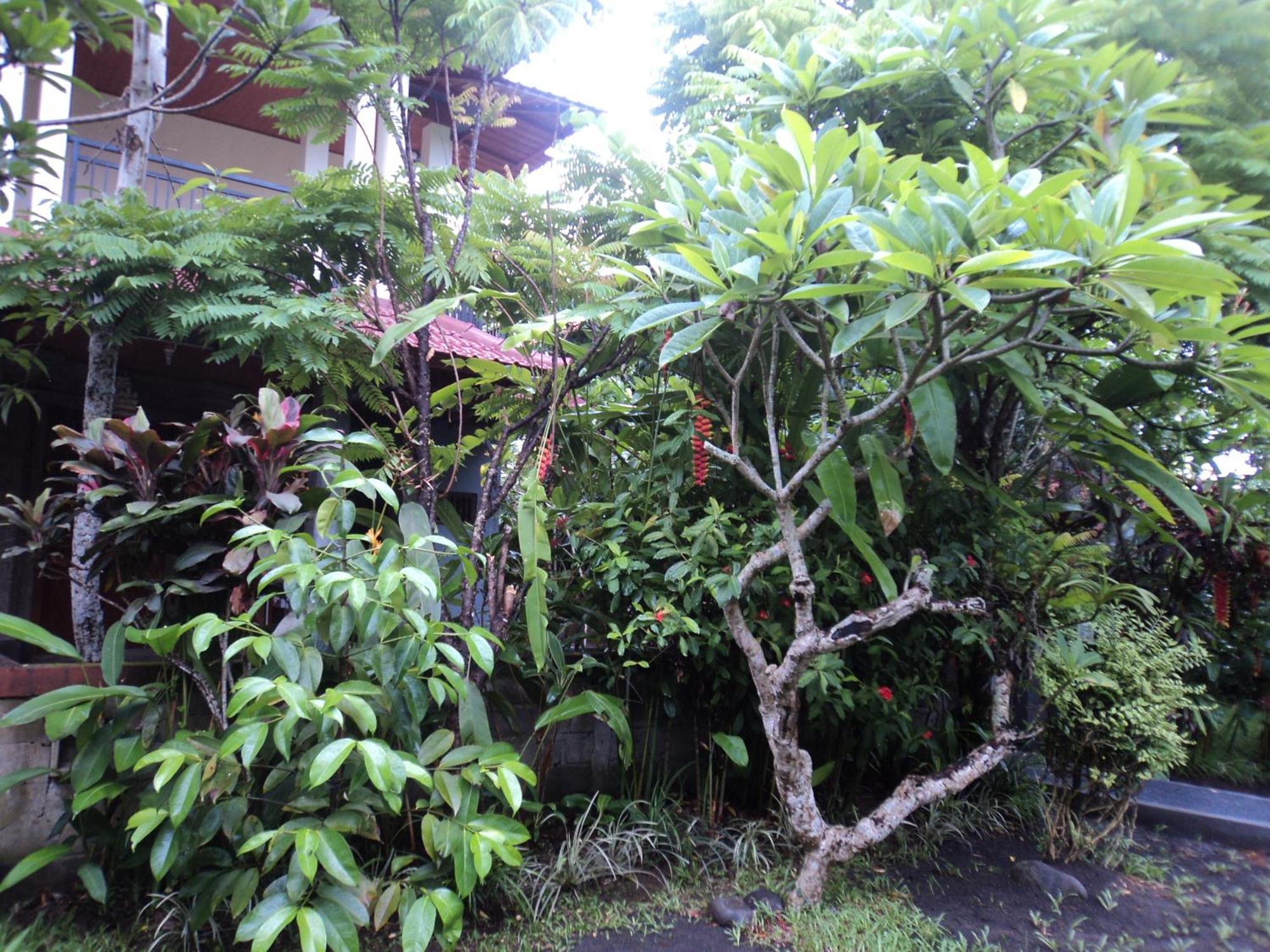 Villa Bhuana Alit Ubud Rum bild