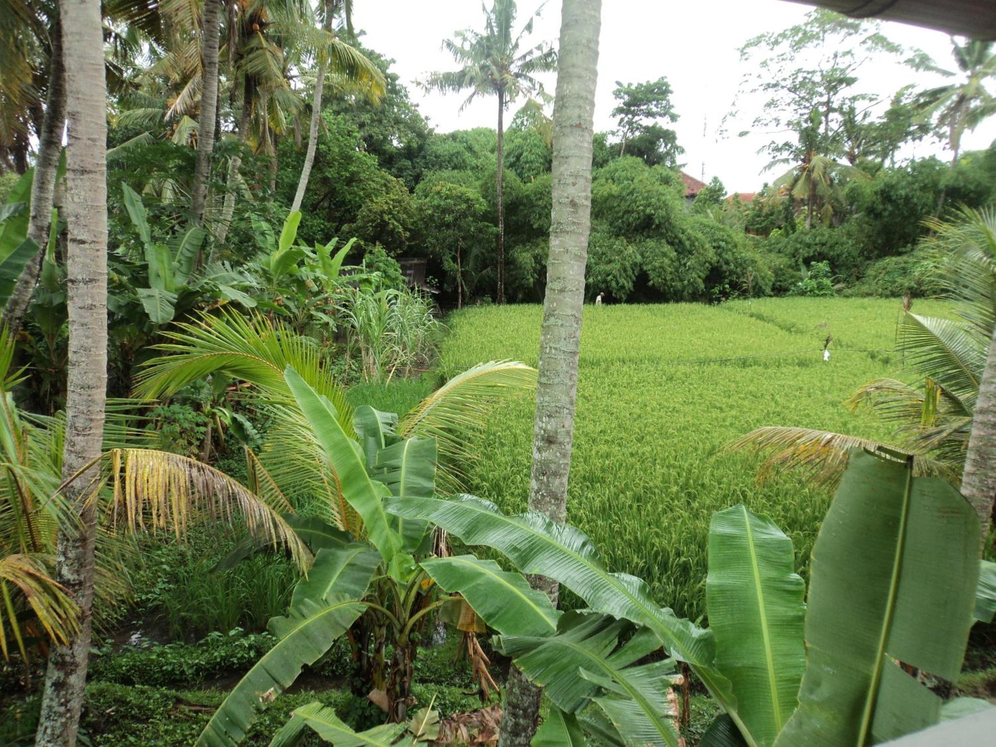 Villa Bhuana Alit Ubud Rum bild
