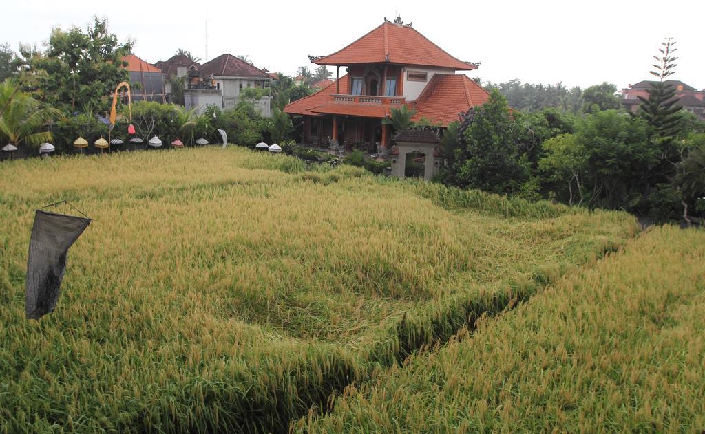 Villa Bhuana Alit Ubud Exteriör bild
