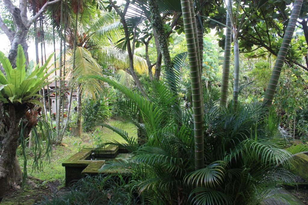 Villa Bhuana Alit Ubud Exteriör bild